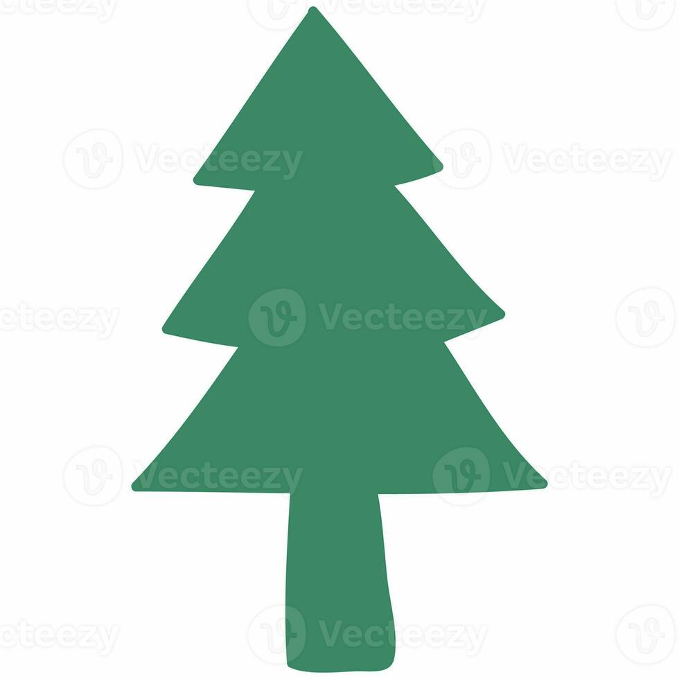 Christmas tree for decoration and design. photo