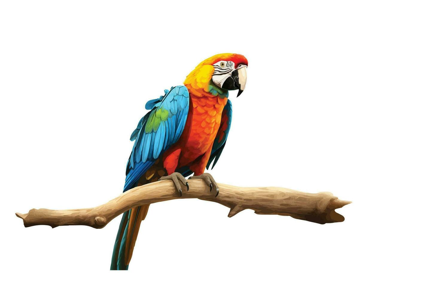 Colorful macaw parrot perched on a tree on white background. vector