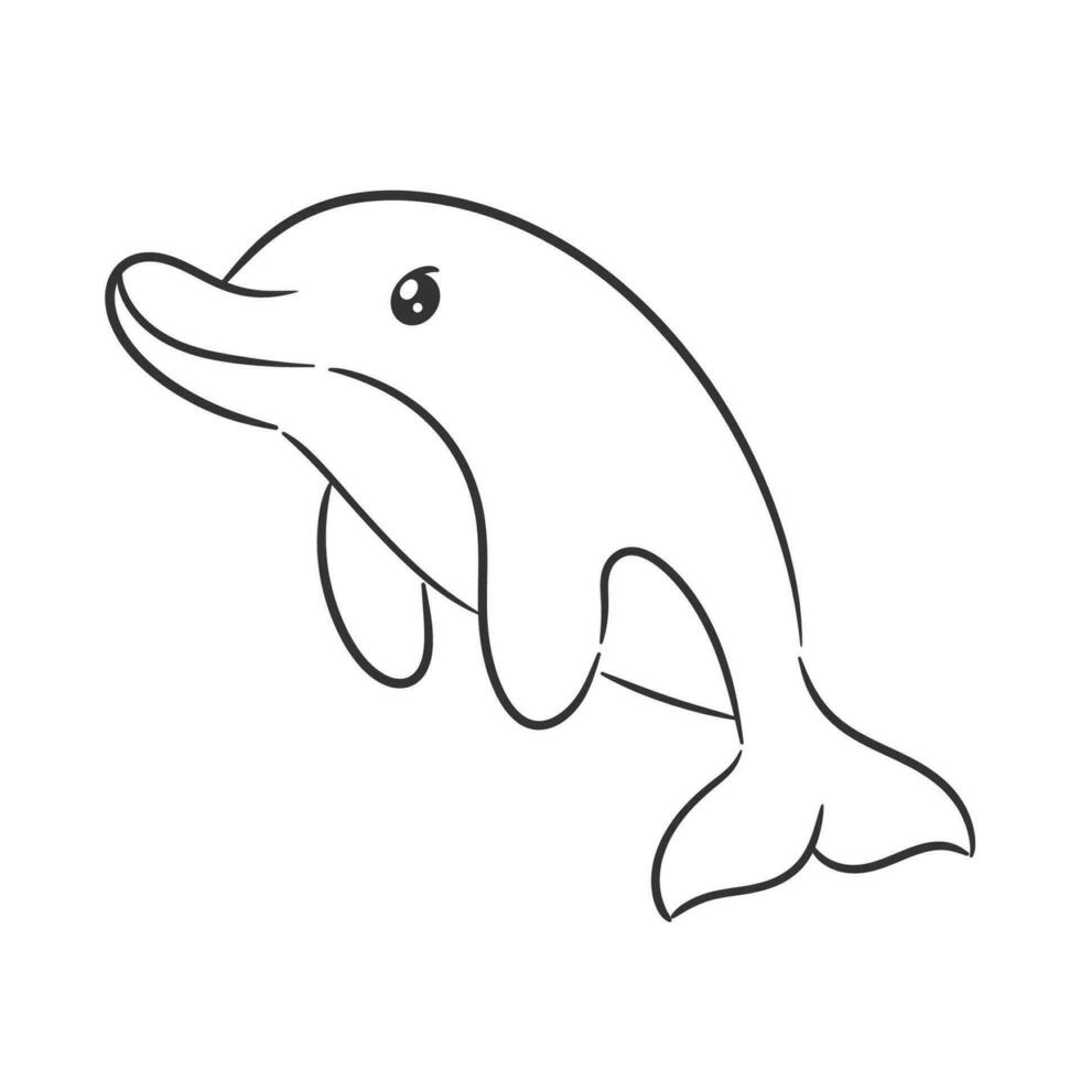 Cute pink dolphin fish cartoon for coloring vector