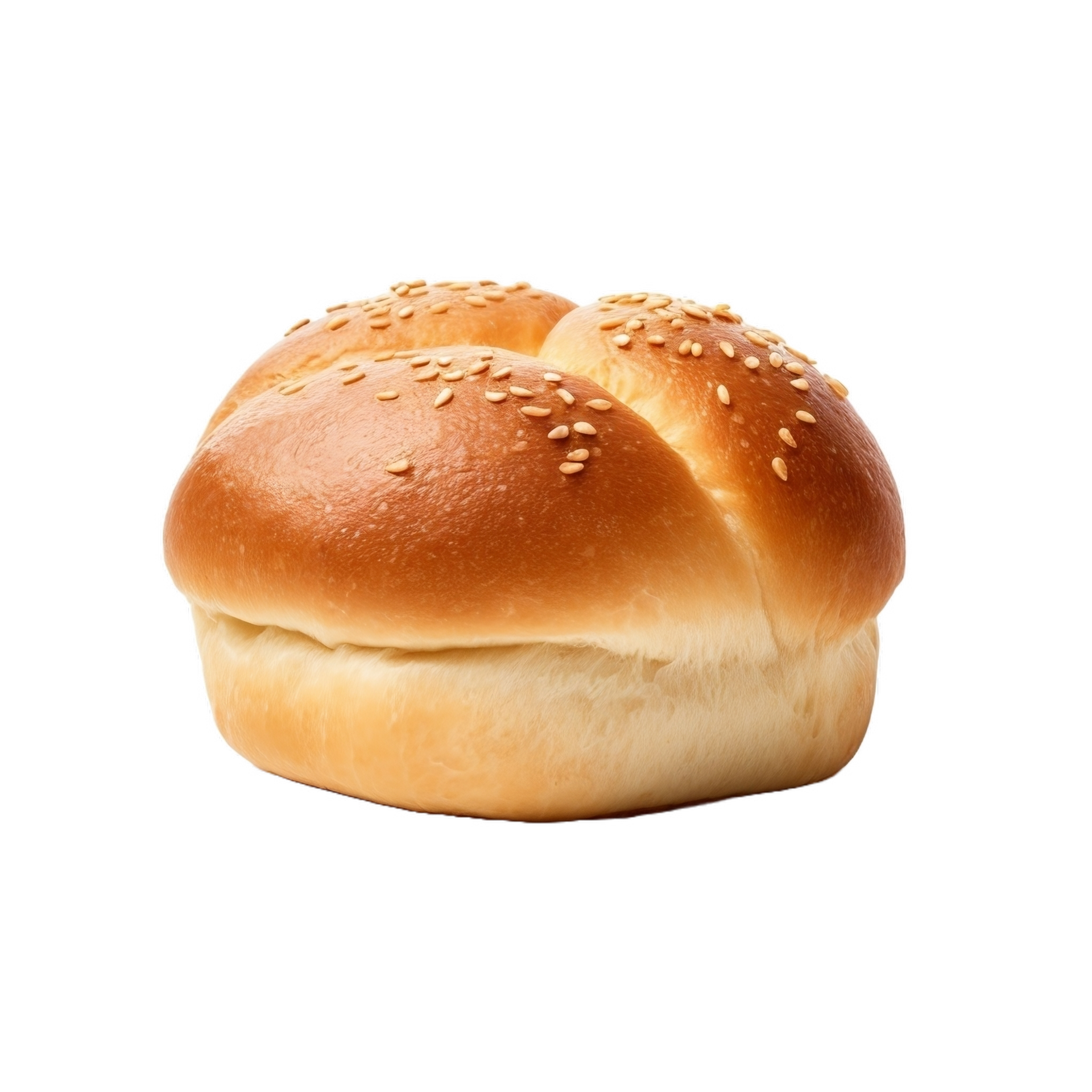 A Bun With Sesame Seeds On It 27291782 PNG a-bun-with-sesame-seeds-on-it-27291782-png