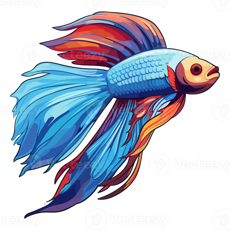 Siamois combat poisson autocollant illustrations, betta poisson png