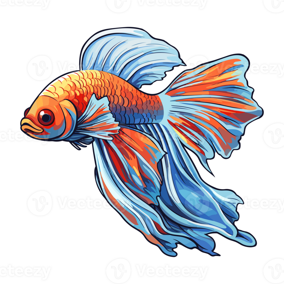 Siamese Kampf Fisch Aufkleber Illustrationen, Betta Fisch png