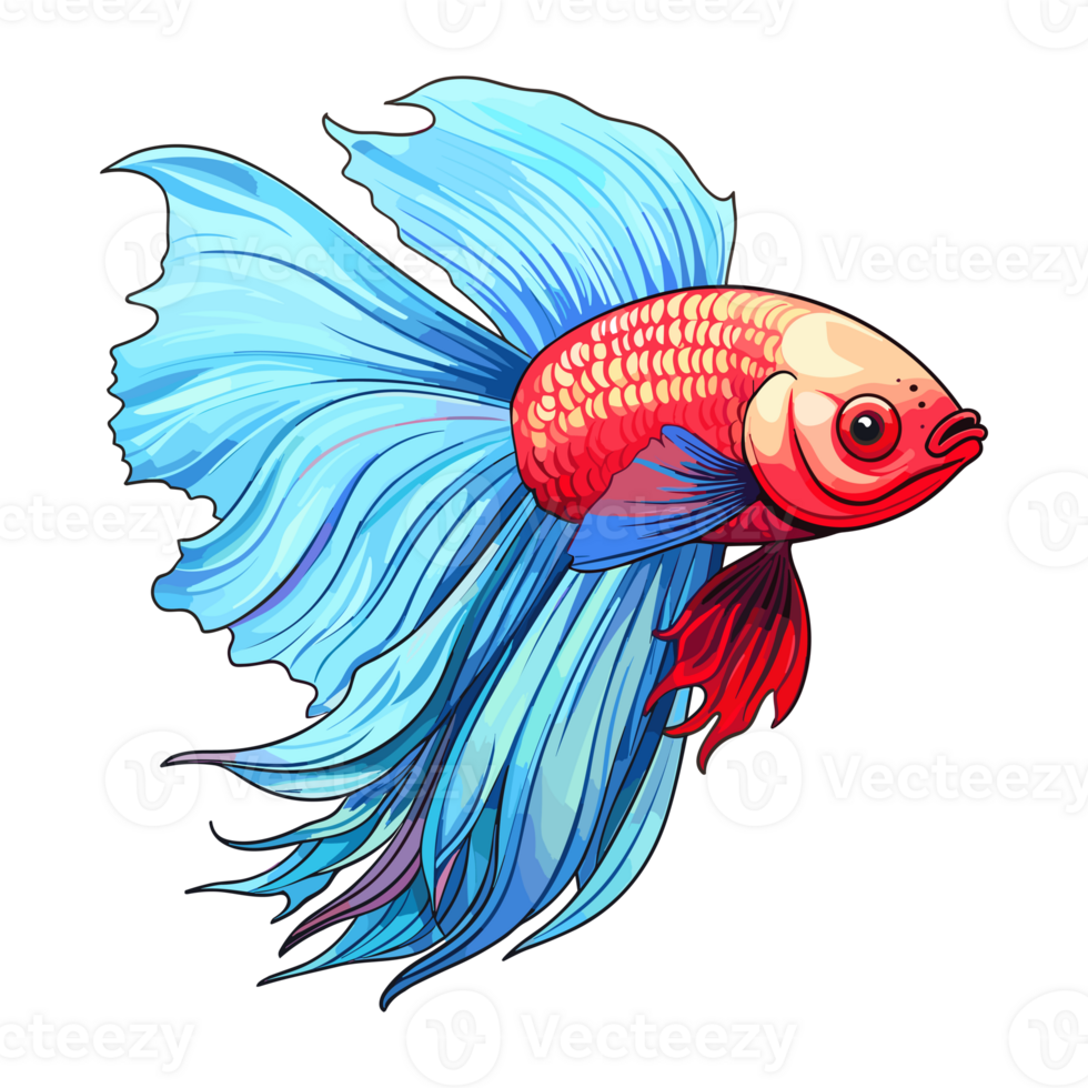 Siamois combat poisson autocollant illustrations, betta poisson png