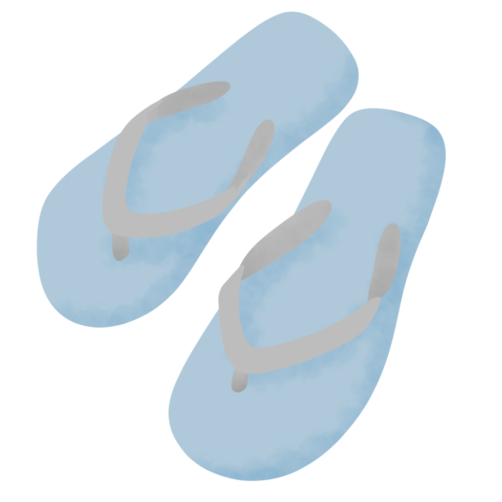 Flip flop summer illustration png
