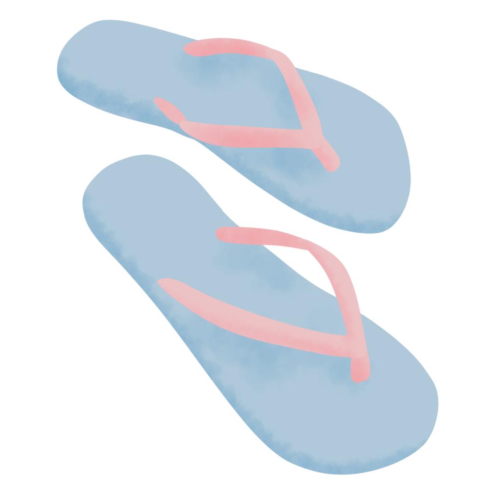 Flip flop summer illustration png