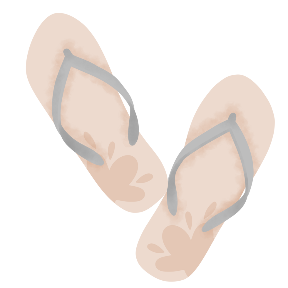 Flip flop summer illustration png