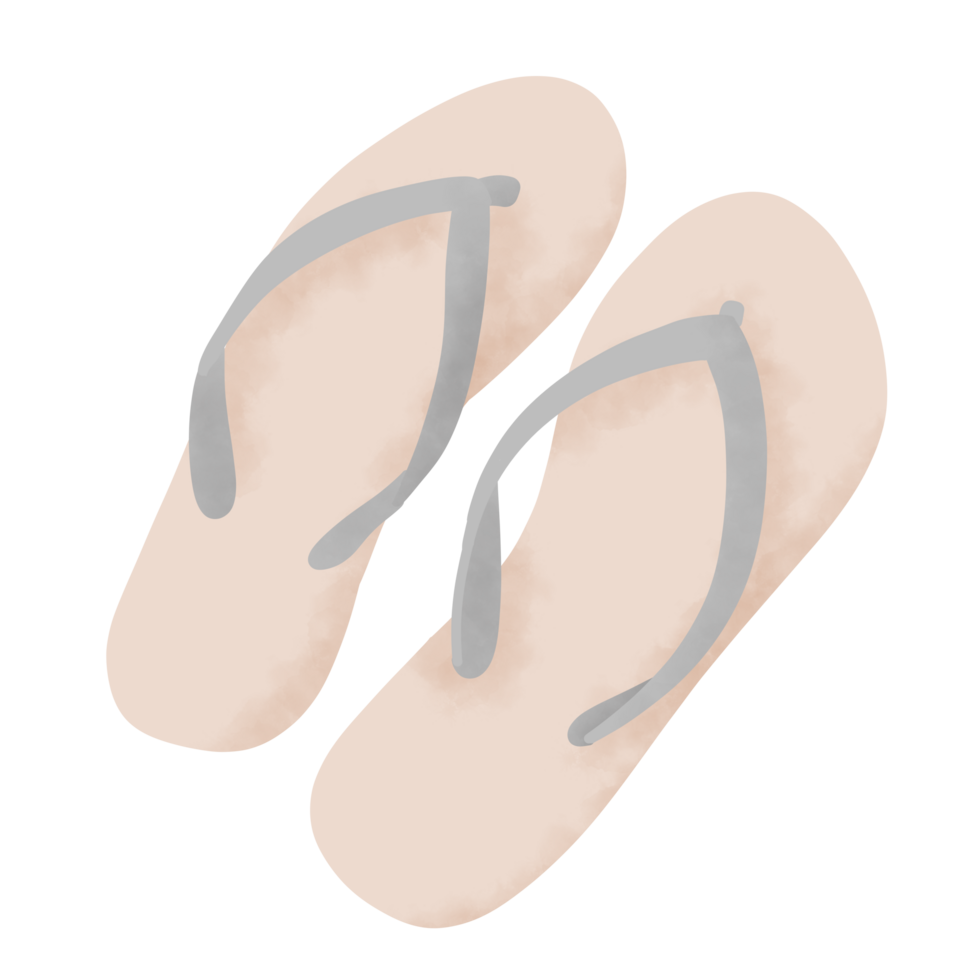 Flip flop summer illustration png