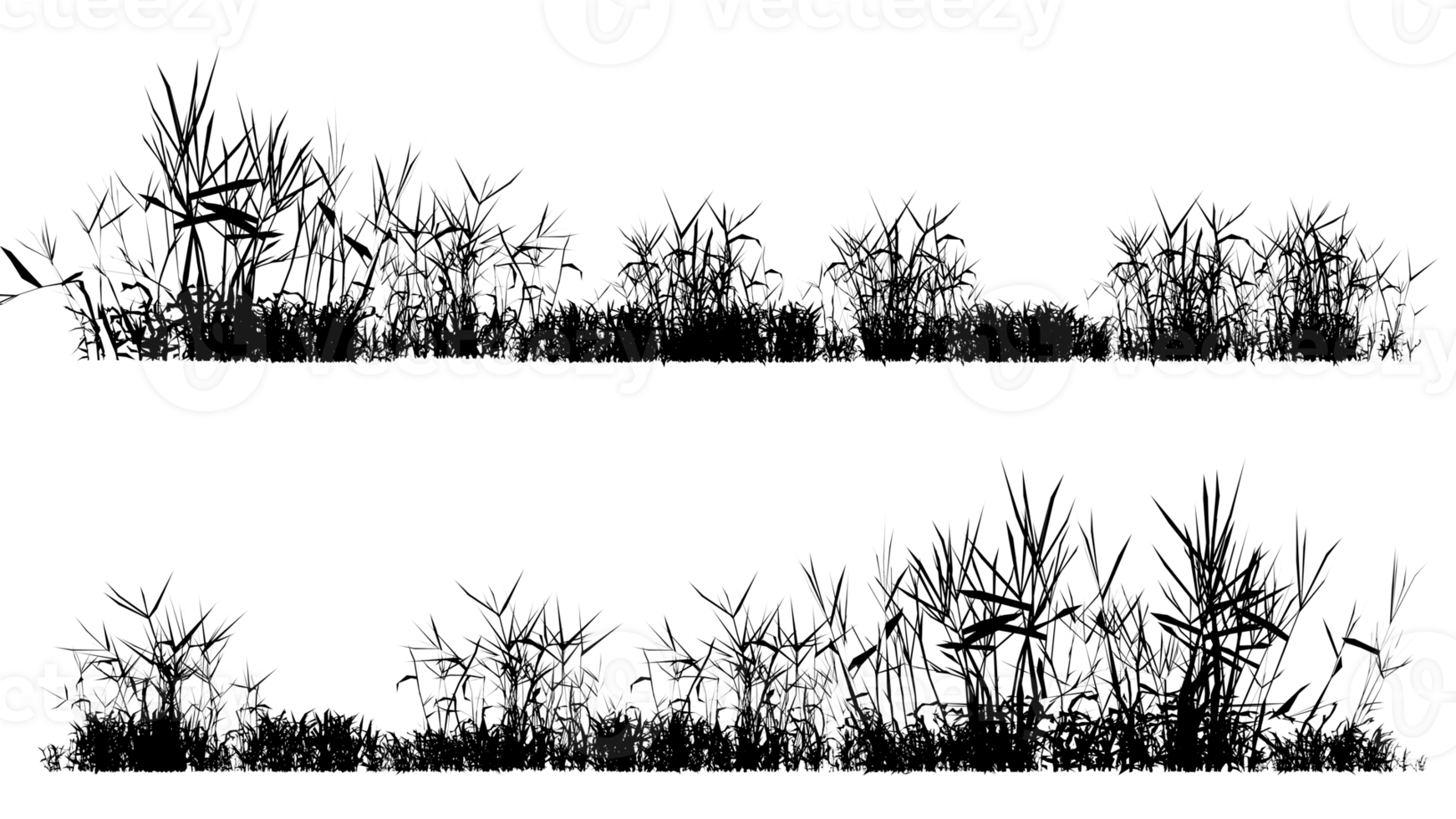 3d illustration rendering grass silhouette include clipping path png