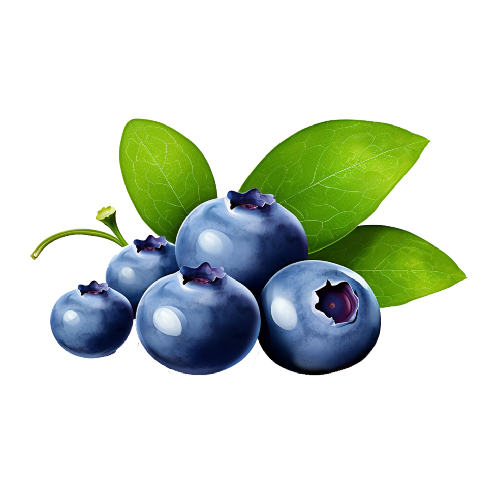 Blueberry With Leaves png