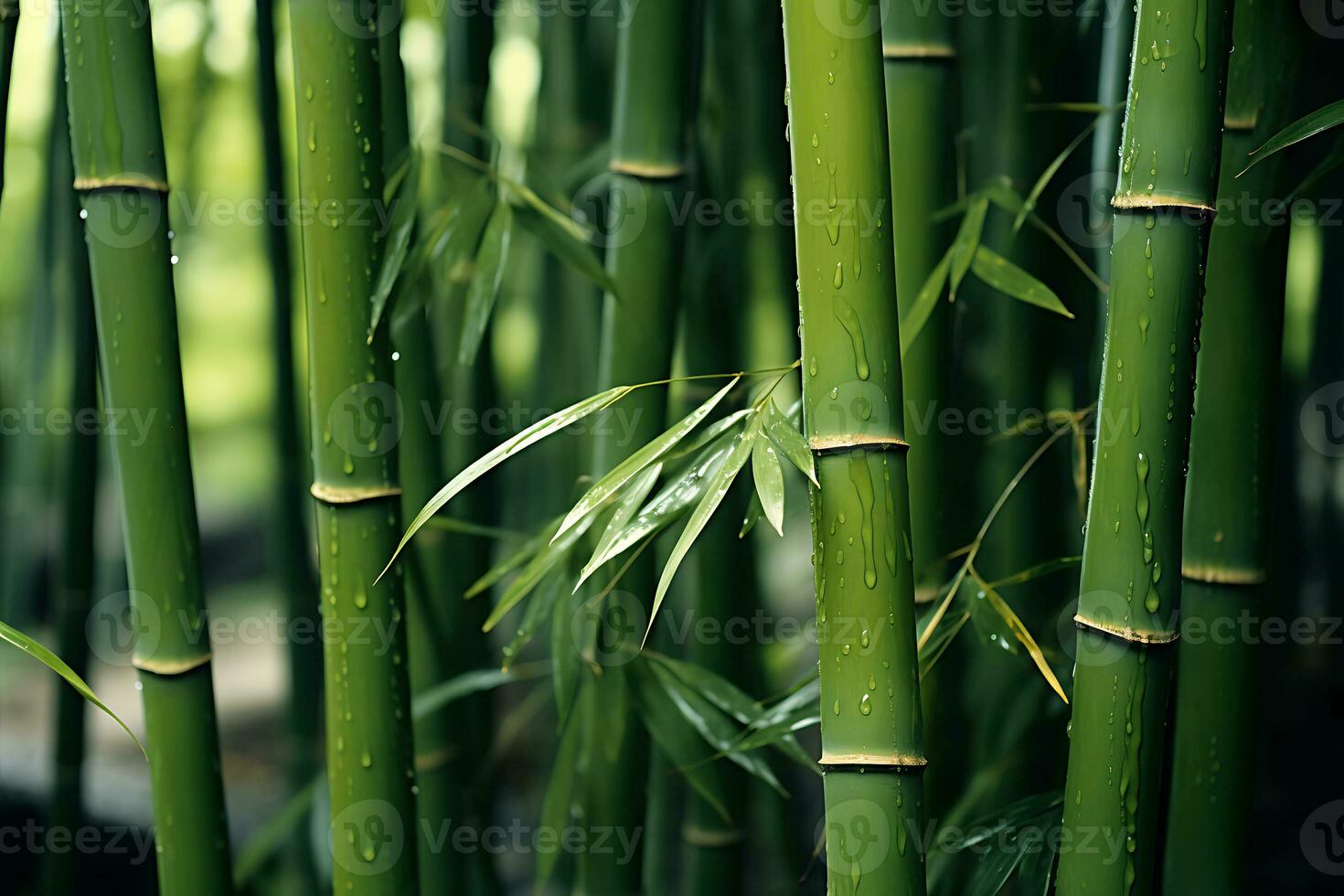 Close-up shot of Green bamboo trees. Oriental vibes. AI Generated photo