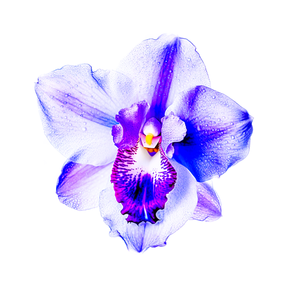 Blue Iris Flower AI Generative 27295204 PNG