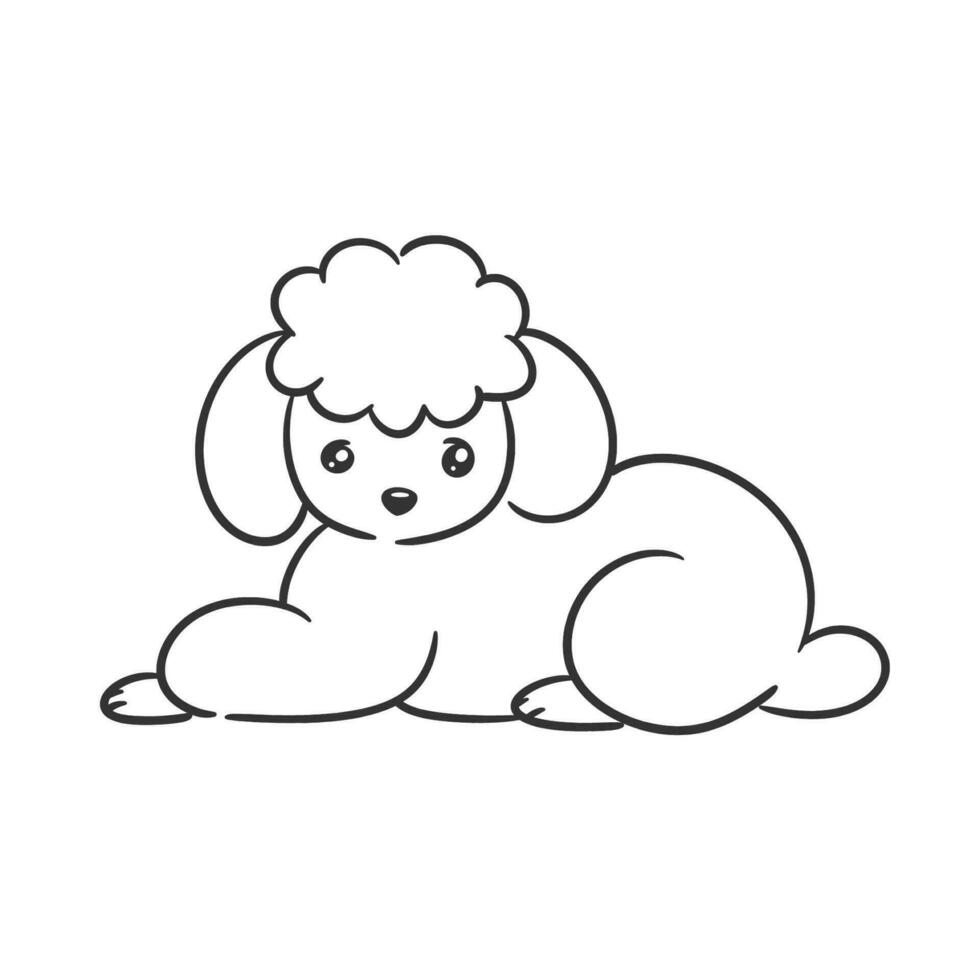 A cute gray poodle puppy for coloring vector