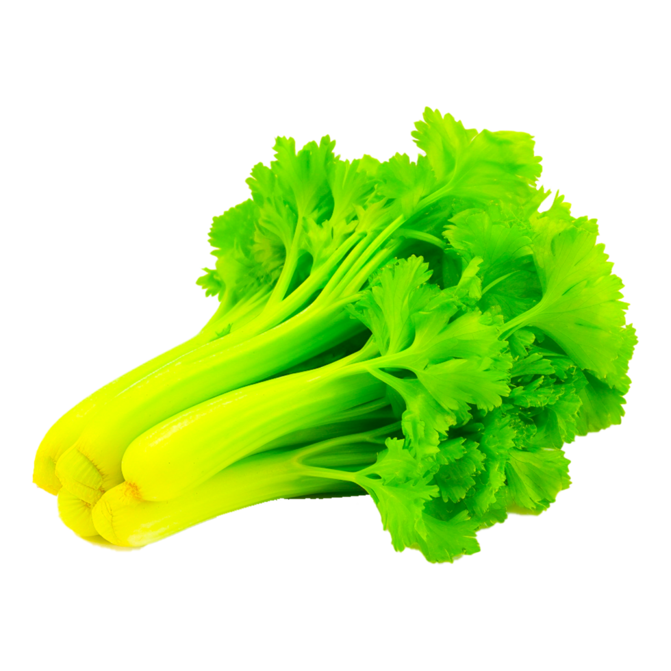 Celery Plant transparent background AI Generative 27296632 PNG