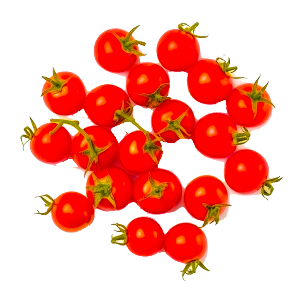 Cerise tomate avec branche ai génératif png