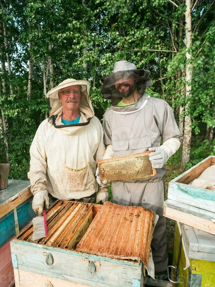 Beekeeper removing honeycomb from beehive. Person in beekeeper suit taking honey from hive. Farmer wearing bee suit working with honeycomb in apiary. Beekeeping in countryside - organic farming photo