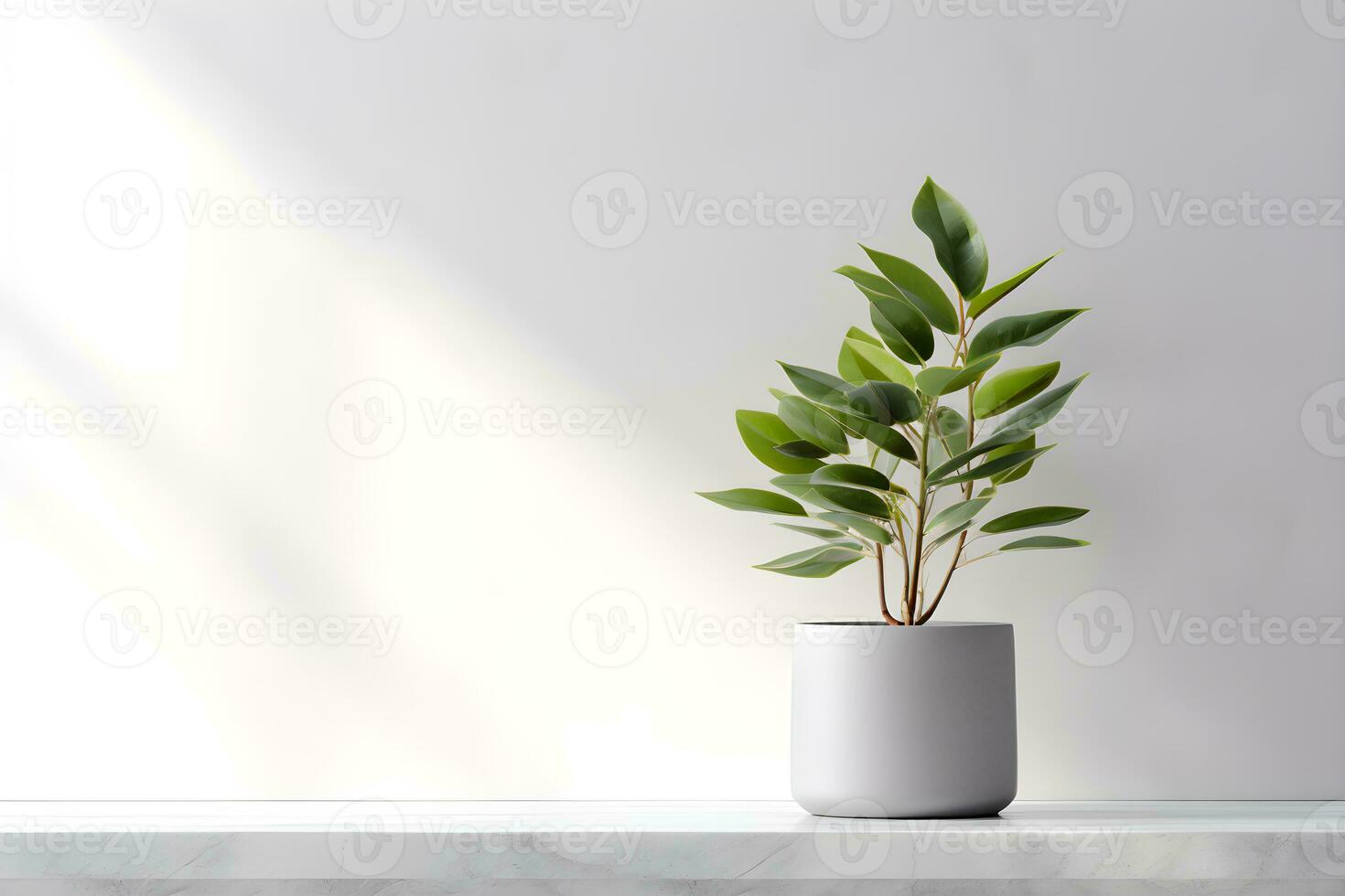 White wall room for display of presentation product with windows showing sunlight, vase and pot with a plant in the style of minimalist background, modern interior concept, AI generate photo