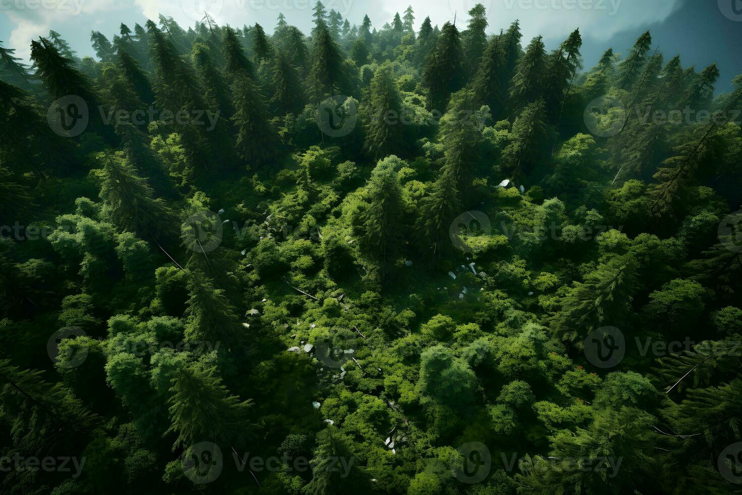 Aerial top view forest tree, Rainforest ecosystem and healthy environment concept and background, AI generate photo