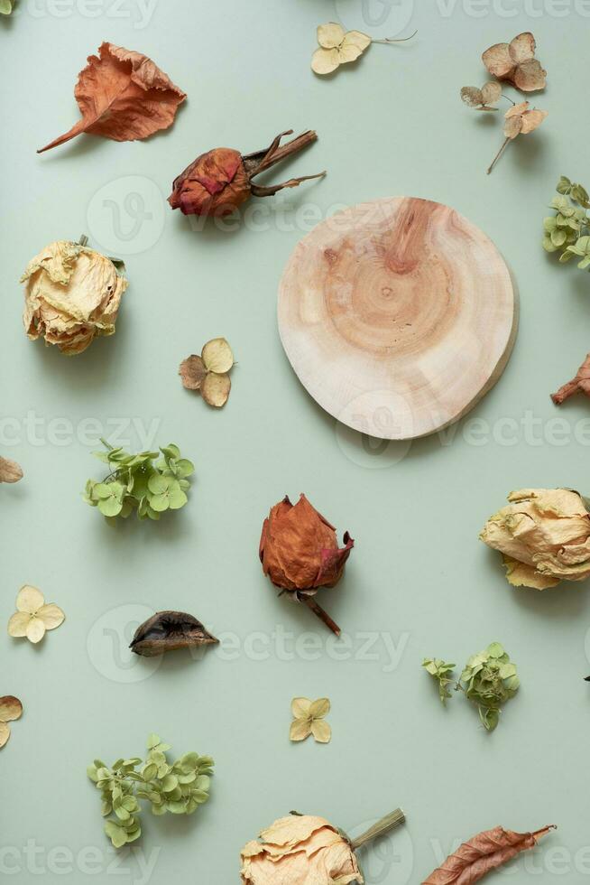 Saw podium top view with pattern from dry autumn flowers and petals on pastel green background. Creative autumn flat lay. photo