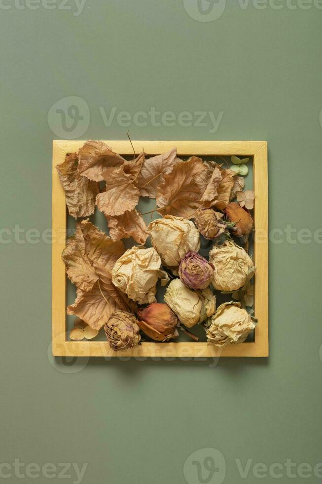 Golden frame with dry roses and maple leaves. Autumn minimalist aesthetic concept photo
