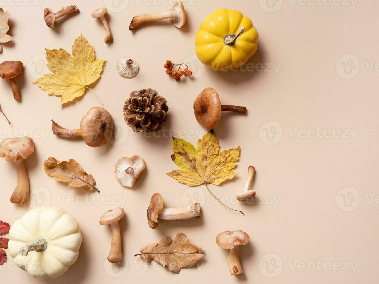 Pumpkin, mushrooms and autumn leaves on beige background. Autumn still life photo