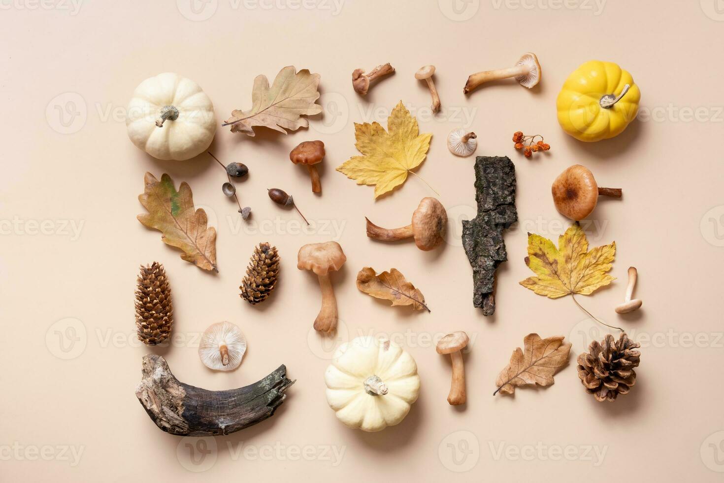 Pumpkin, mushrooms and autumn leaves on beige background. Autumn flat lay composition background. photo