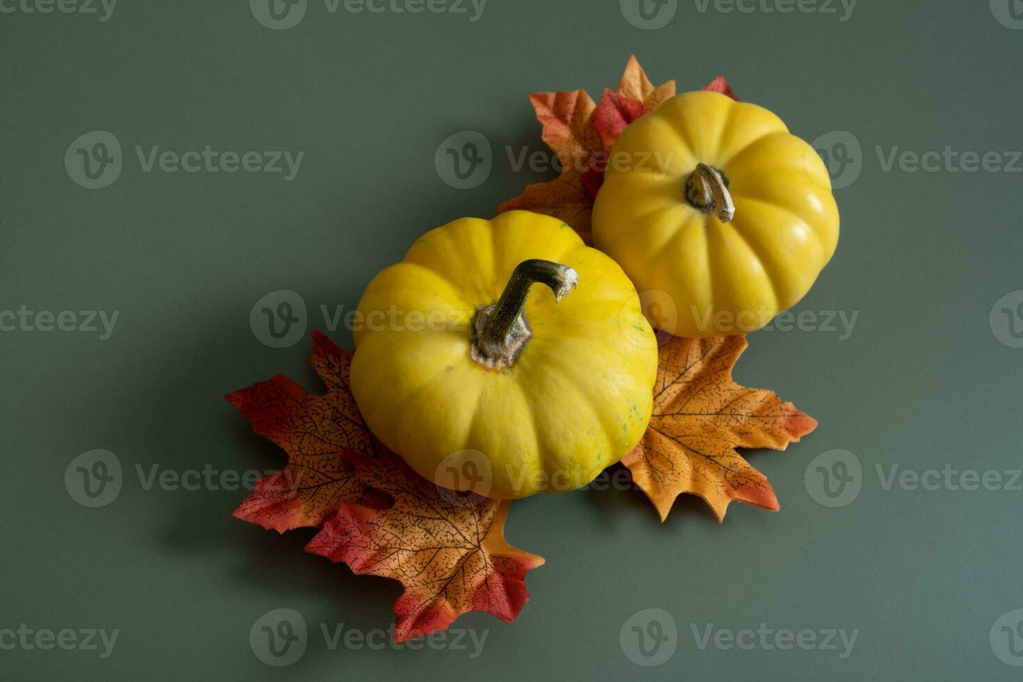 Pumpkin and maple leaves on a green background. Autumn minimalist aesthetic still life photo