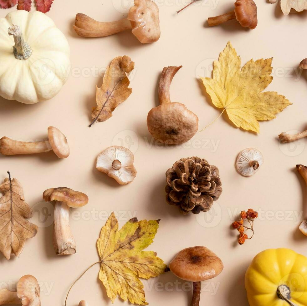 Pumpkin, mushrooms and autumn leaves on beige background. Autumn background photo