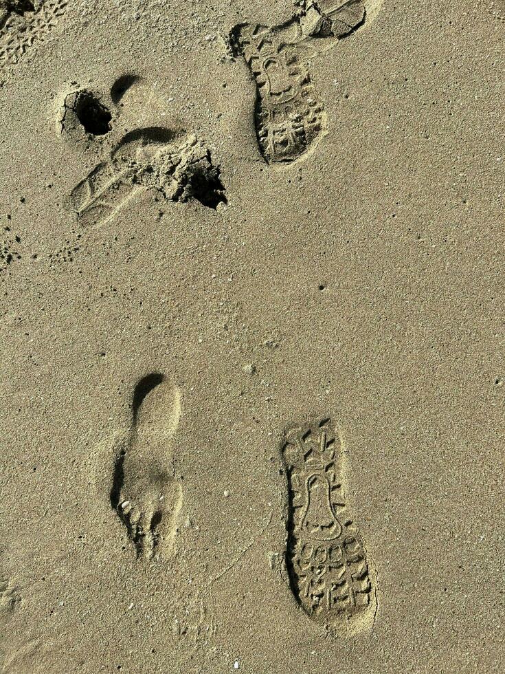 footprints on the beach photo