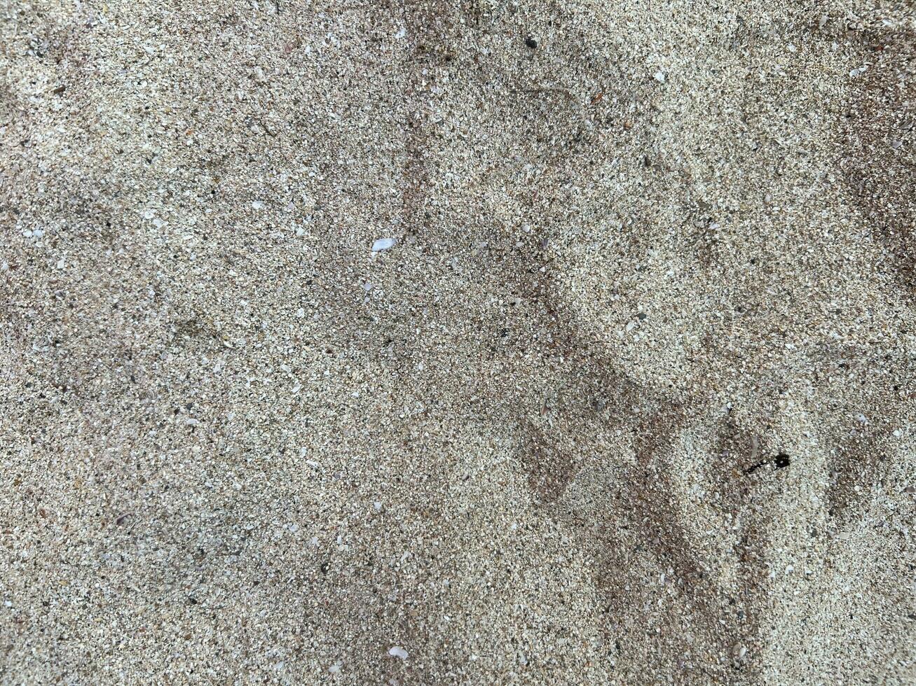 texture of the sand photo
