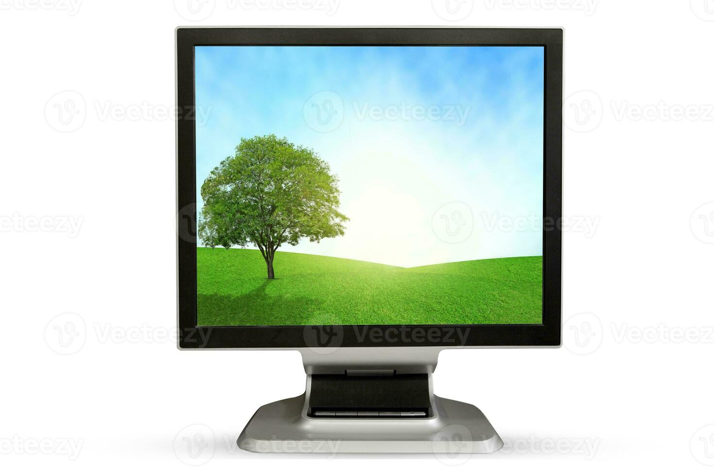 Computer Monitor grassland screen. Isolated on white background. photo