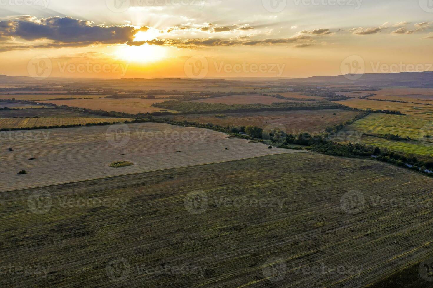 Aerial drone view of plowed and green fields, trees at sunset, agriculture concept. Countryside farmland in the summer photo