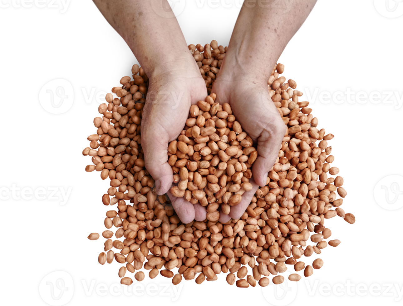 Peanuts in the hands of a farmer on a heap of peanuts PNG transparent