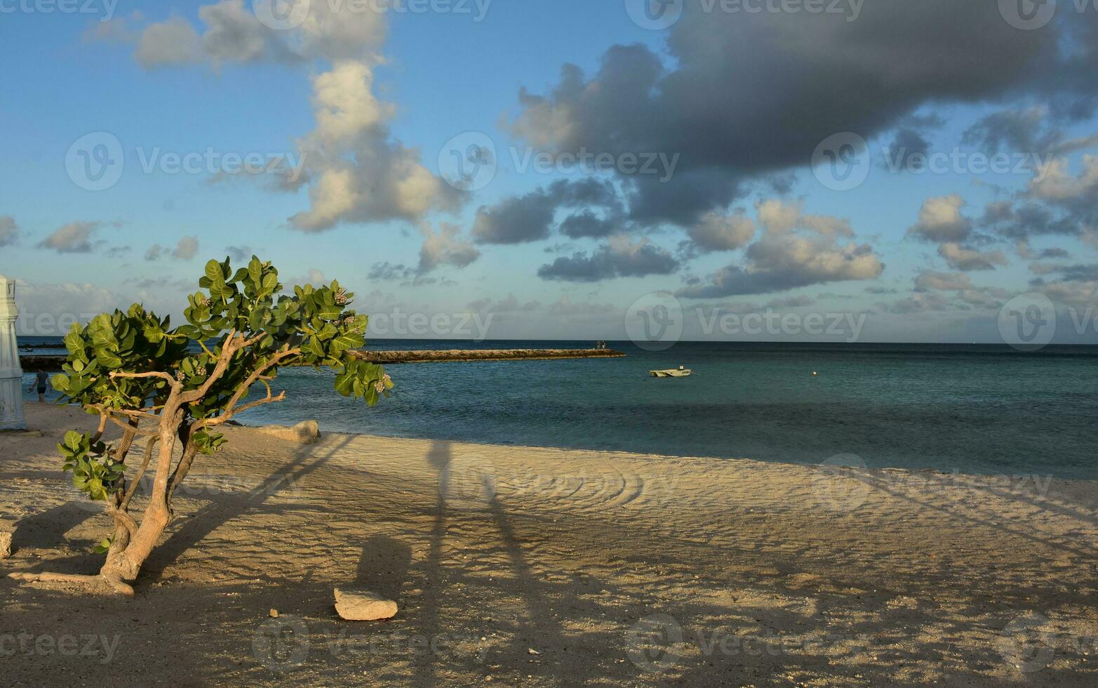 Sun Casting Early Morning Shadows on the Beach in Aruba photo