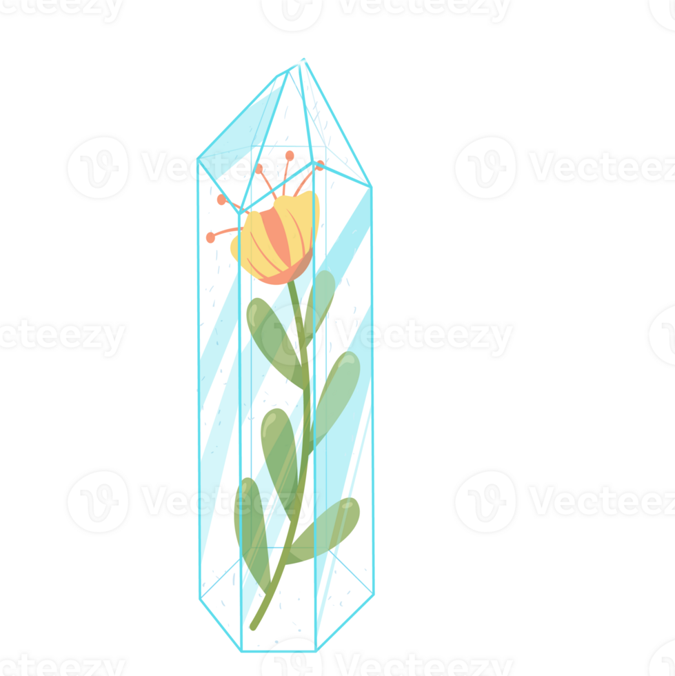 Outline Crystal. Curative Transparent Healing Quartz with Floral,Flowers. Gradient Clear Bright Gem with Frame. Magic Stone png
