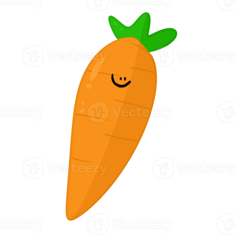 Cute carrot without hands png