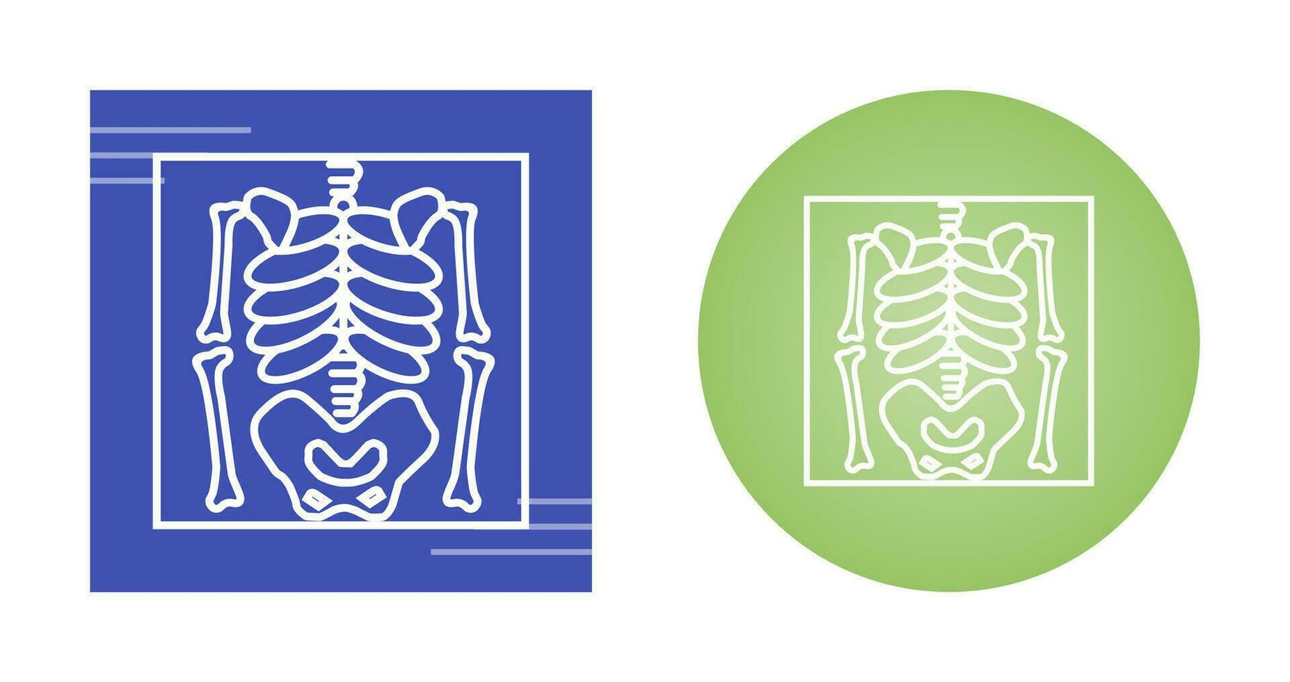 Skeleton Vector Icon