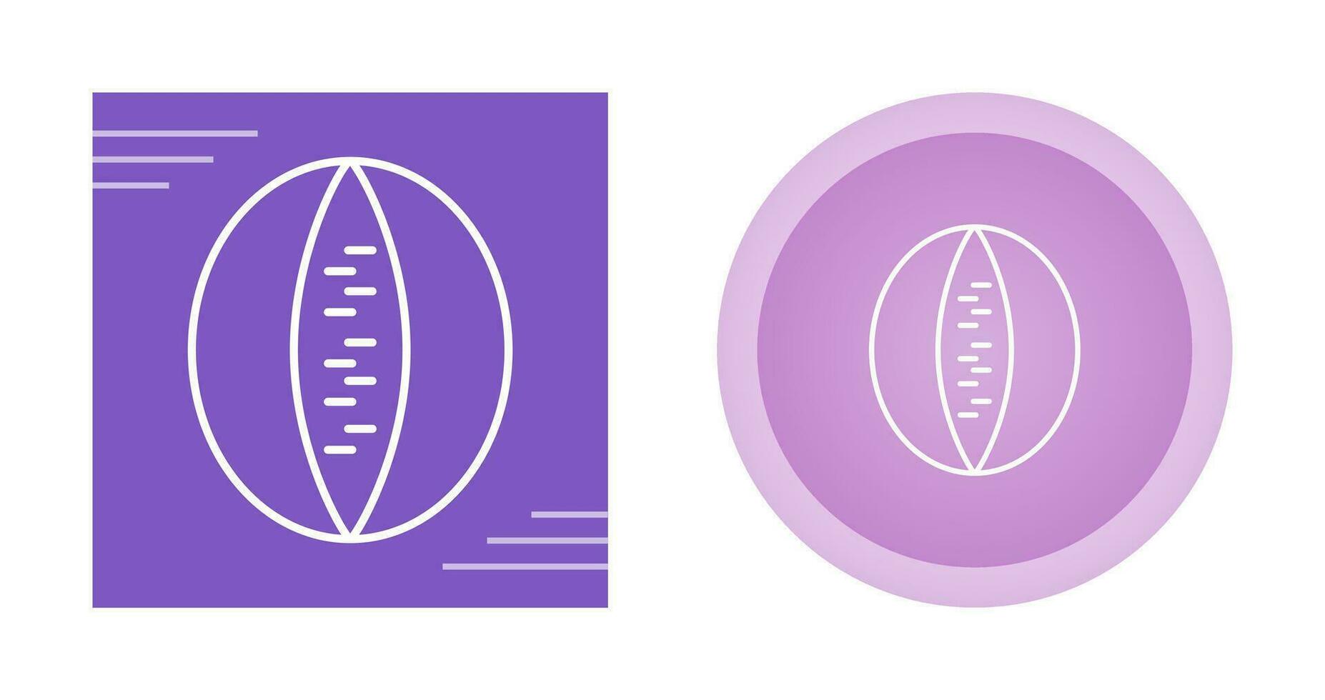 Rockmelon Vector Icon