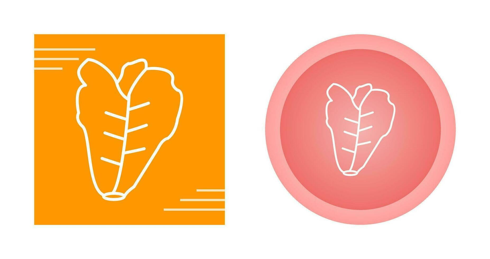 Lettuce Vector Icon