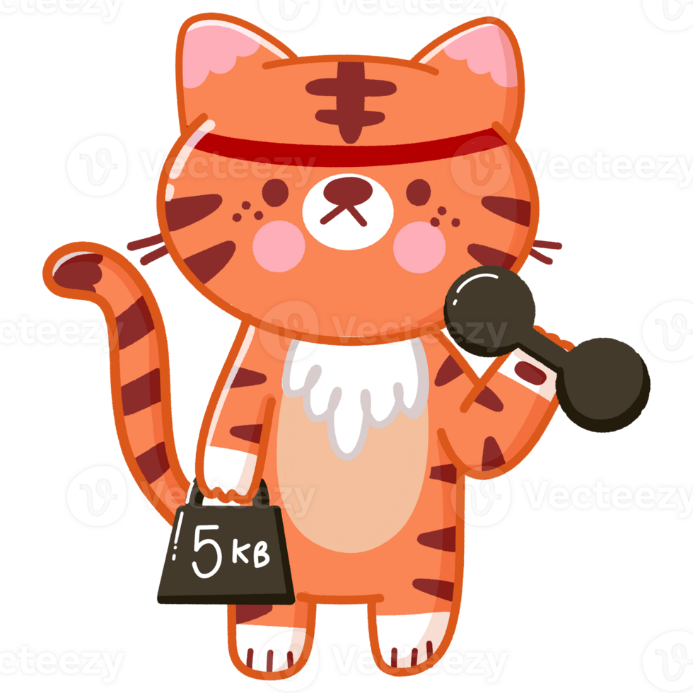 Cute Tiger workout png