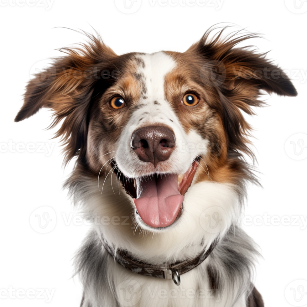 Very happy smiling dog portrait isolated on transparent background, created with generative AI png