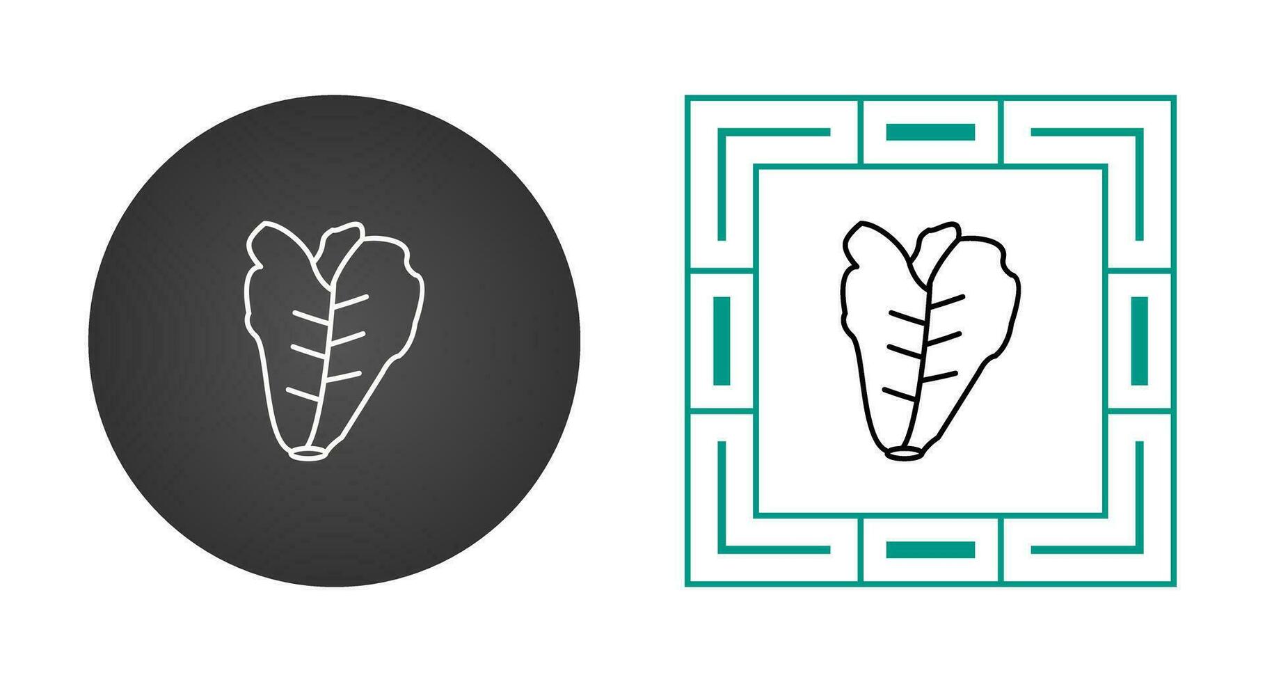 Lettuce Vector Icon