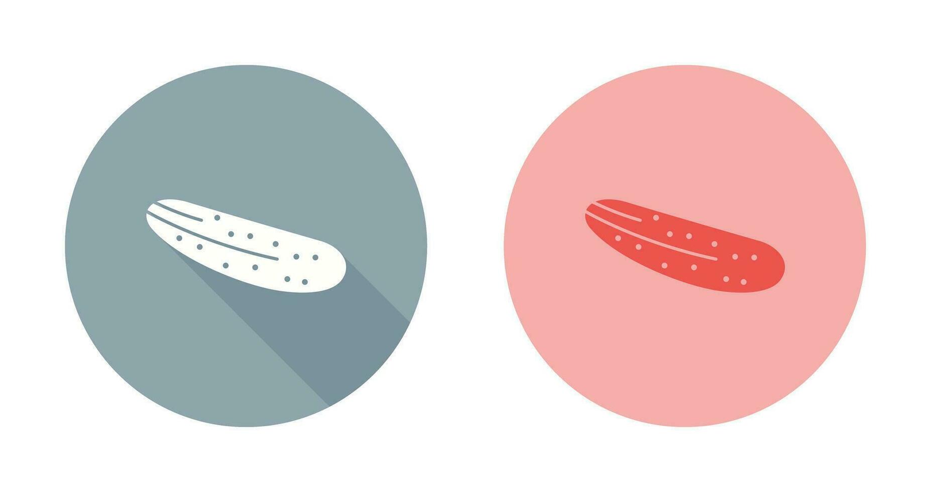 Cucumber Vector Icon