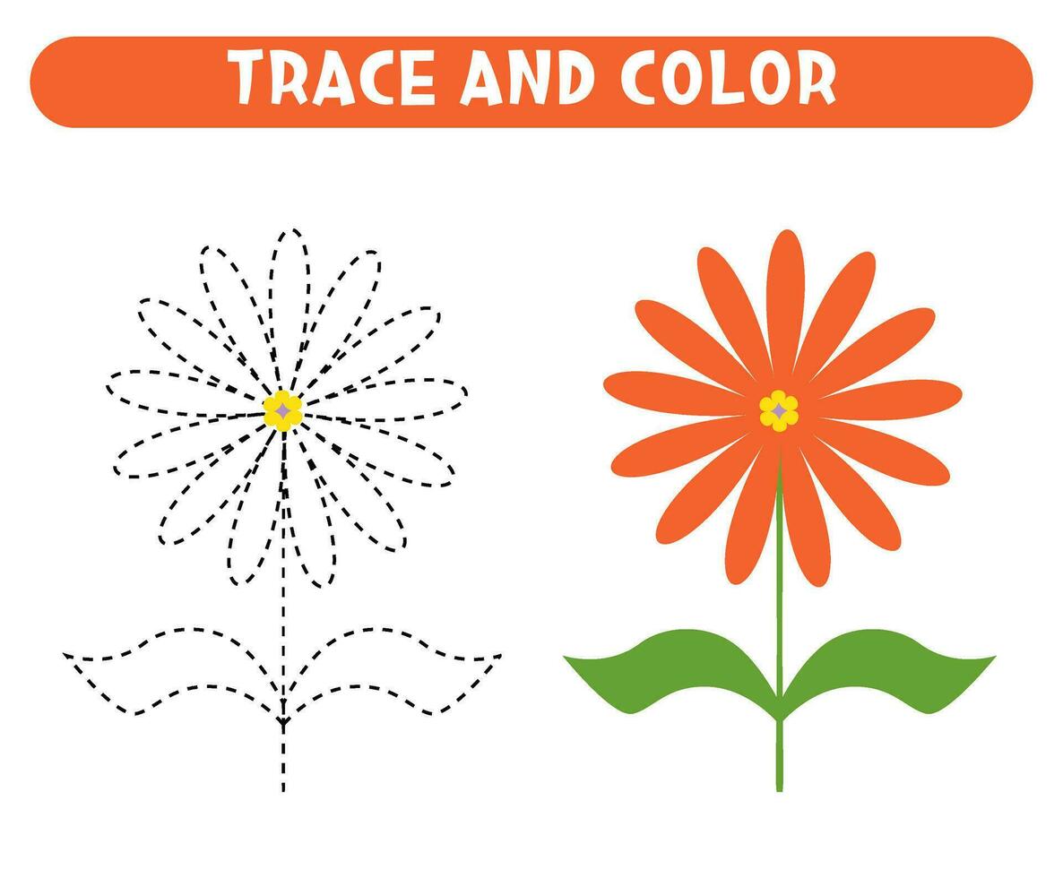 Trace and color orange flower. Worksheet for kids vector