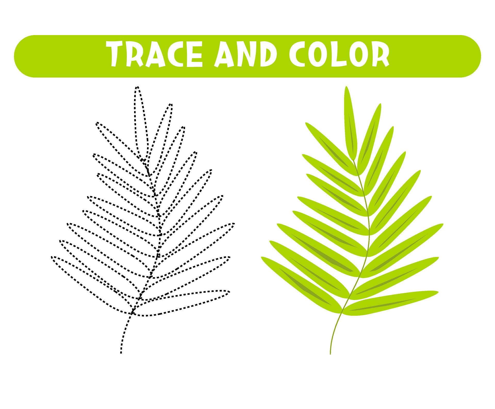 trace-and-color-green-leaf-worksheet-for-kids-27374556-vector-art-at