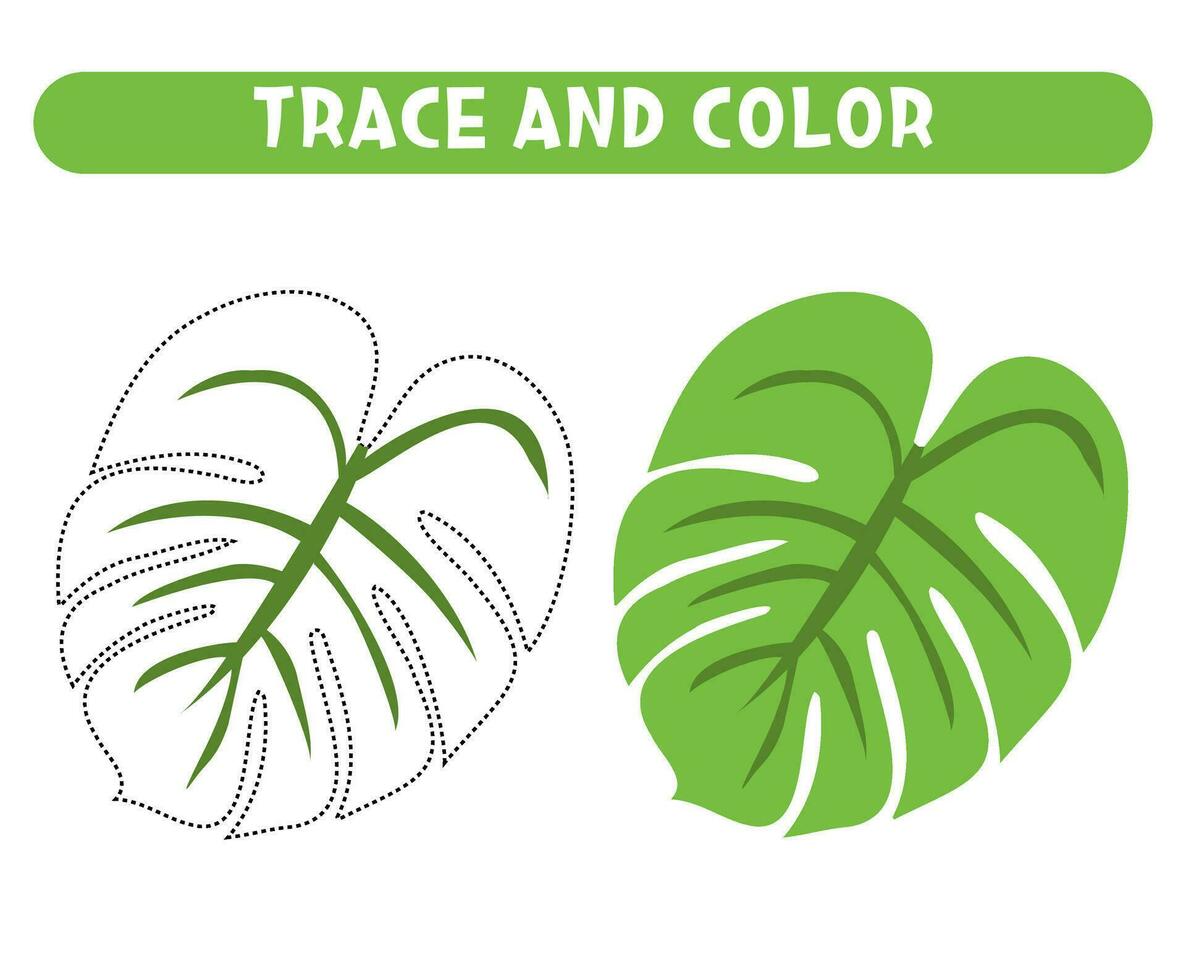 Trace and color green Monstera. Worksheet for kids vector