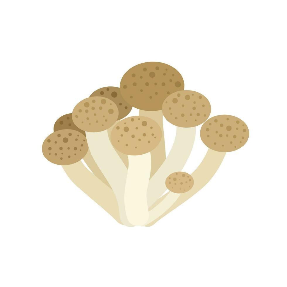 Vector illustration, group of shimeji mushrooms, isolated on white background.