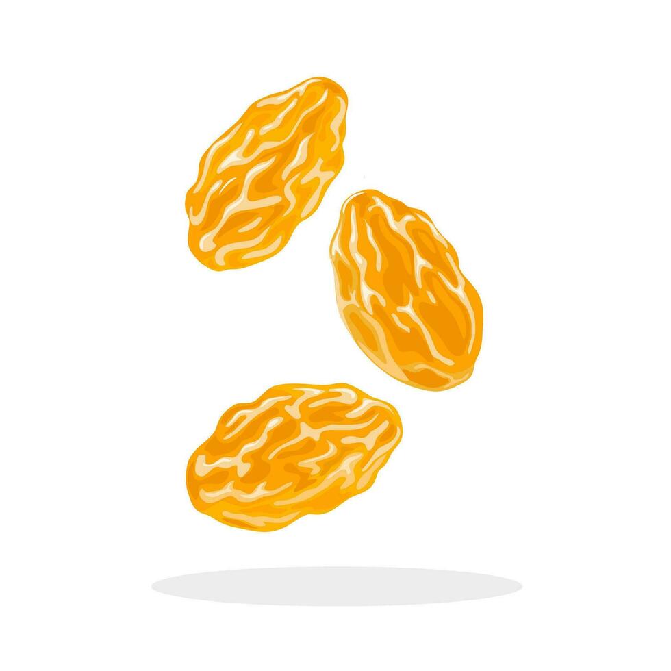 Vector illustration, golden raisins, isolated on white background.