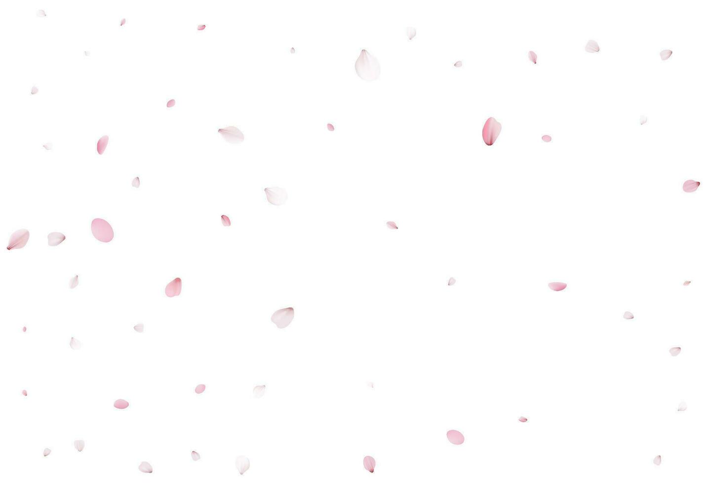 Realistic cherry petals. Vector illustration