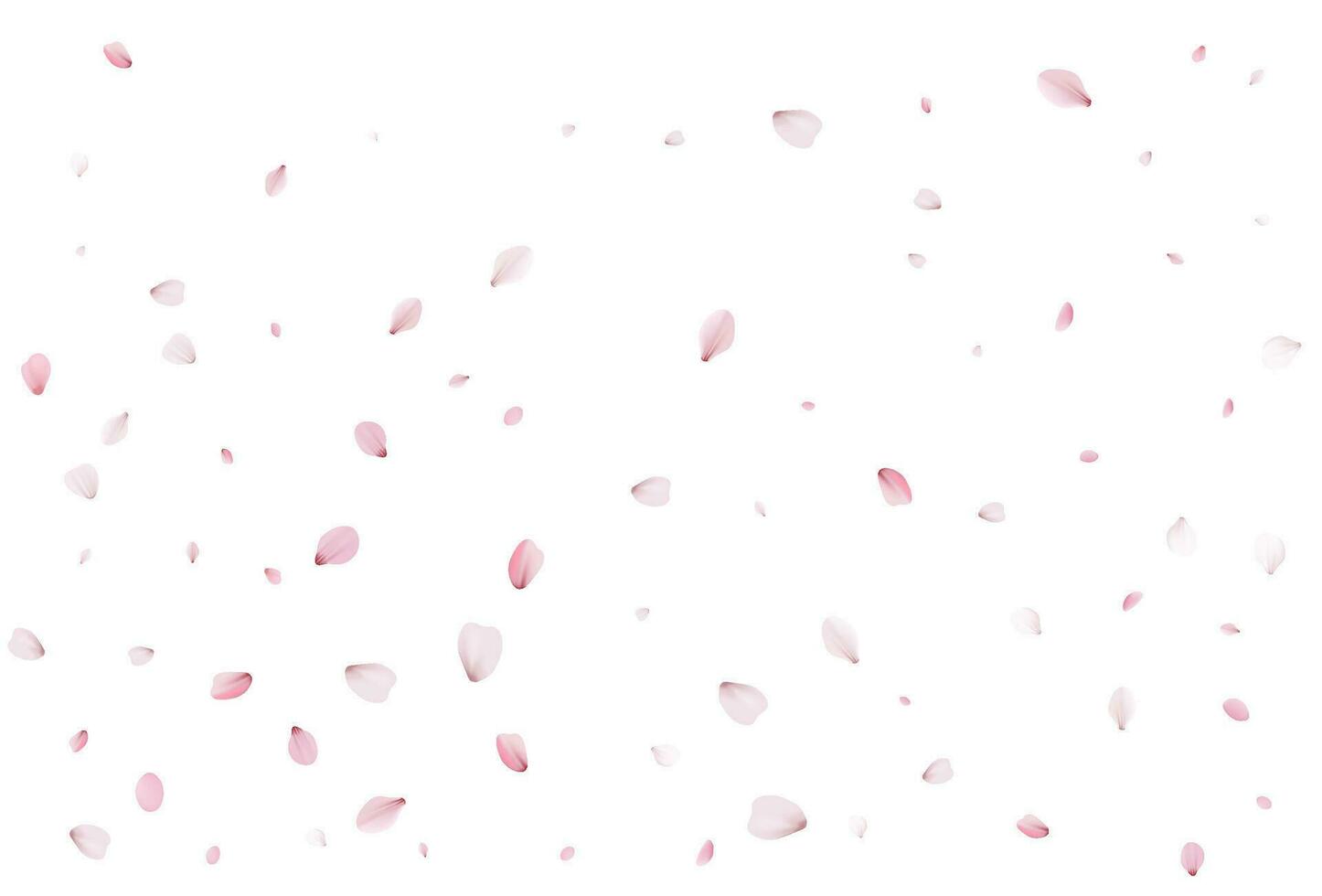 Realistic cherry petals. Vector illustration