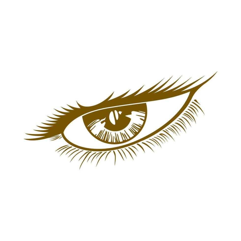Beautiful Human Eyes Illustration Vector